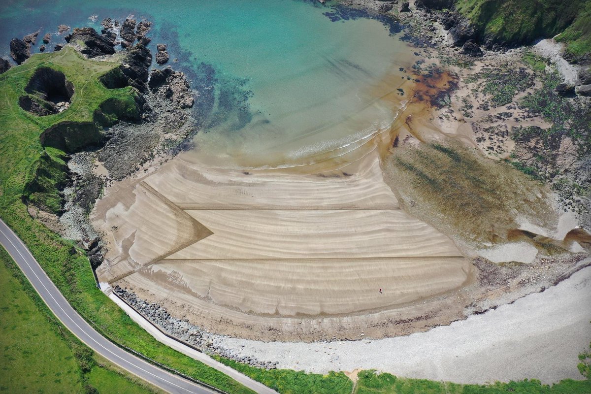 The Art Hand tweet media