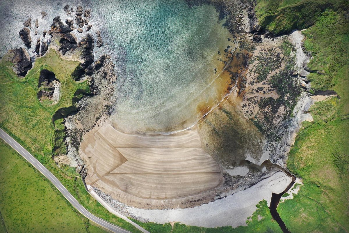 The Art Hand tweet media