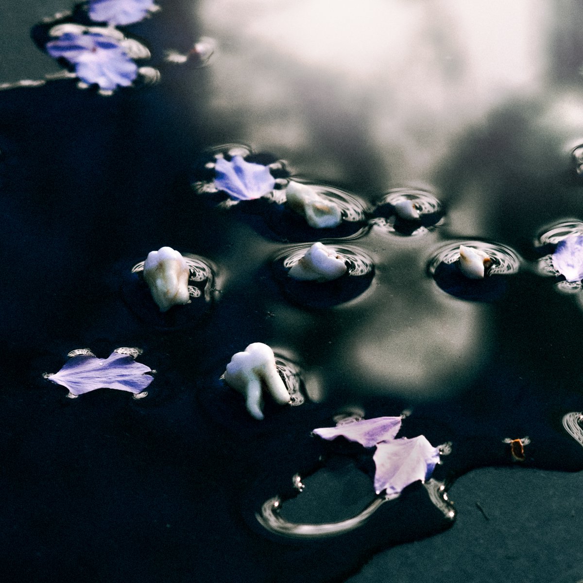 We’re pleased to announce the release of ‘Lambda,’ the new album by Berlin-based Egyptian producer <a href="/zulimusic/">ZULI (all caps; not Zuli)</a>  out on July 5th, 2024. The first single ft. <a href="/MICHAELBRAILEY_/">👼🏻</a>  is now available on all platforms.

Vinyl pre-order &amp; stream: tr.ee/mwN0rVVLLI