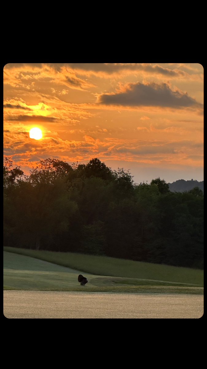 WarriorsPathGC tweet media