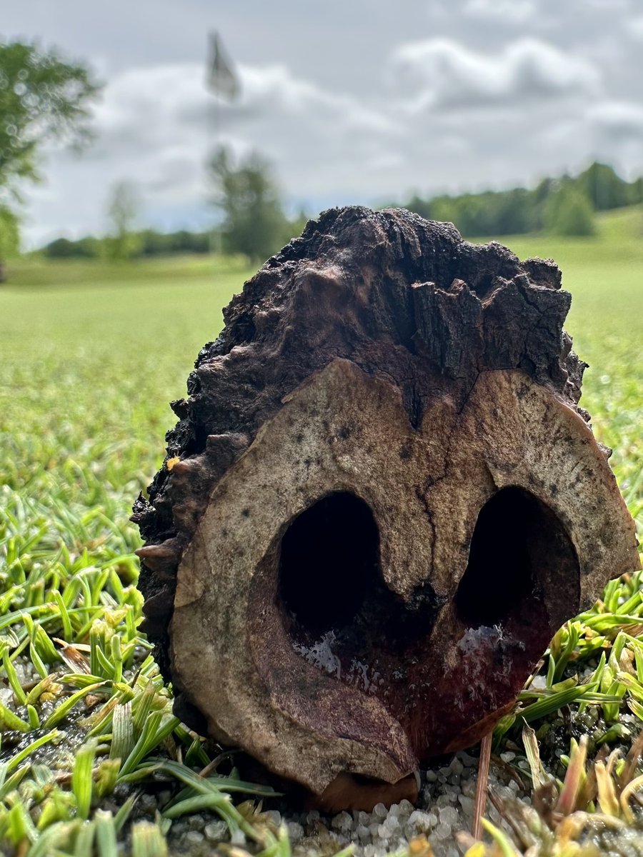 WarriorsPathGC tweet media