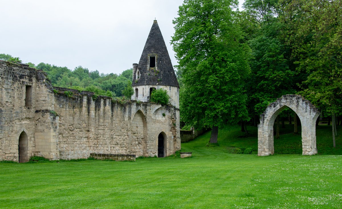 #MagnifiqueFrance #doucfrance #travel #genieten #history #architecture Donjon de Septmonts fr