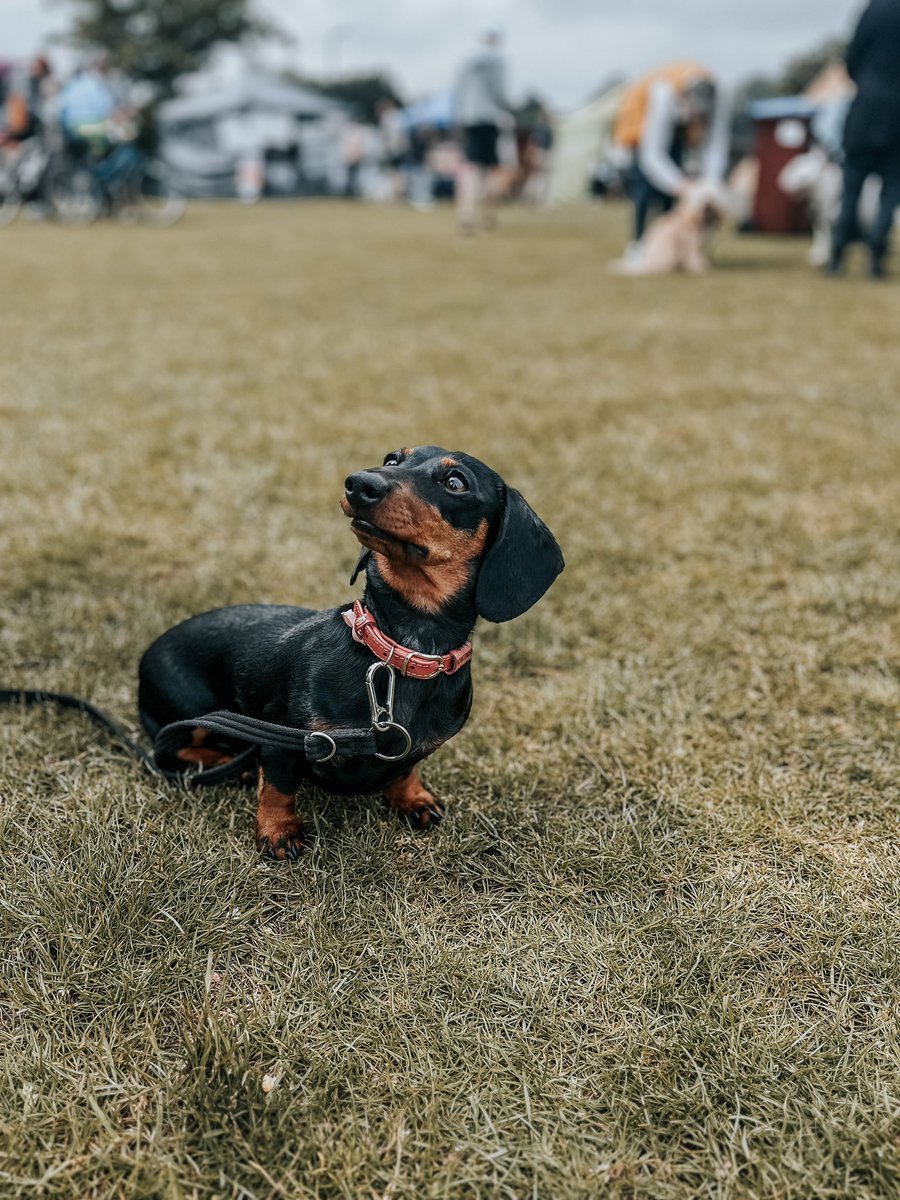 Neus Alberich tweet media