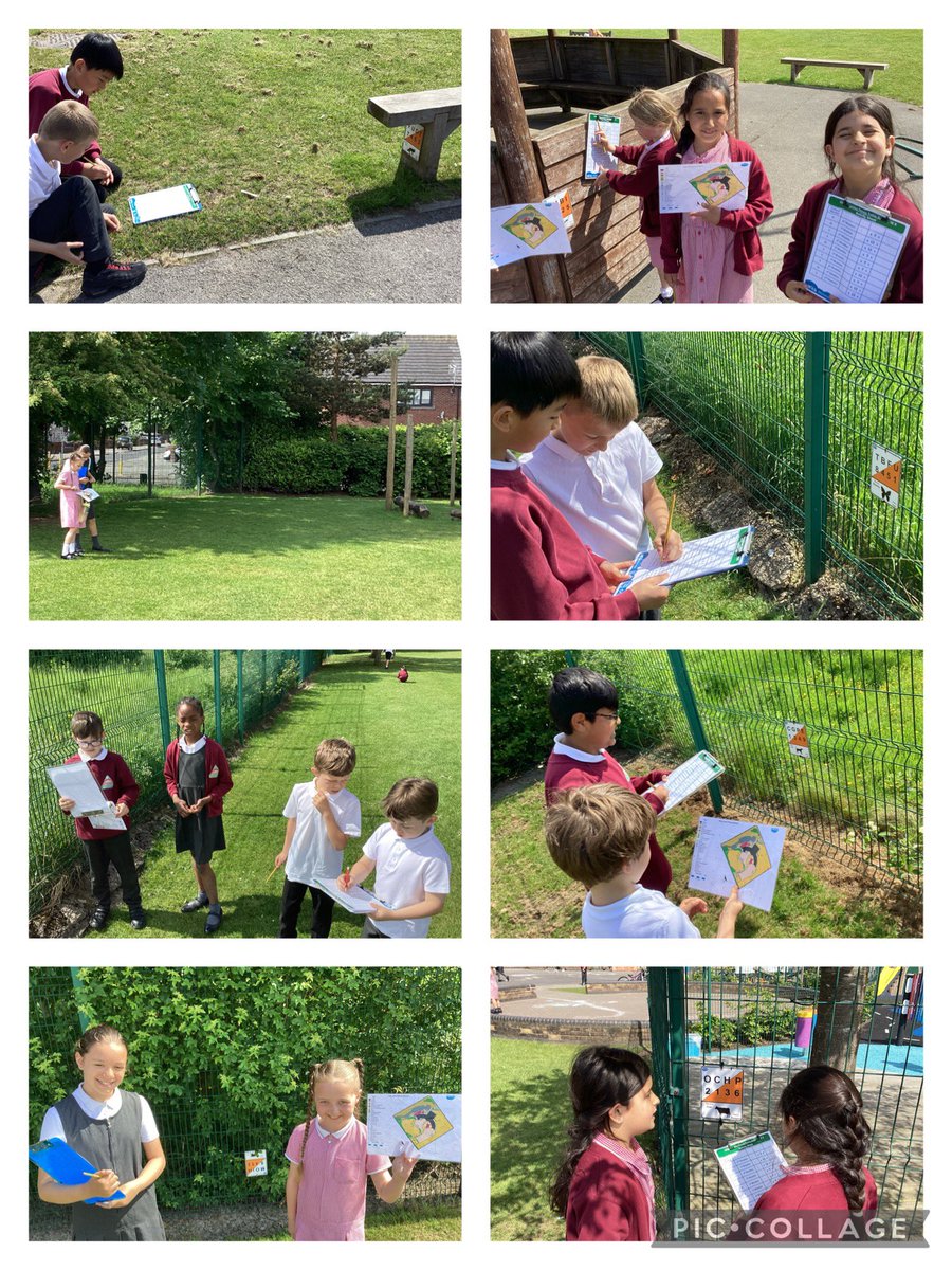 Times tables orienteering yesterday in the sunshine! ☀️ The children had instructions to use their maps to find a marker and then had to work out the times table given to them! @MabLanePri @MrsMcLMLP @MrsGillardMLP