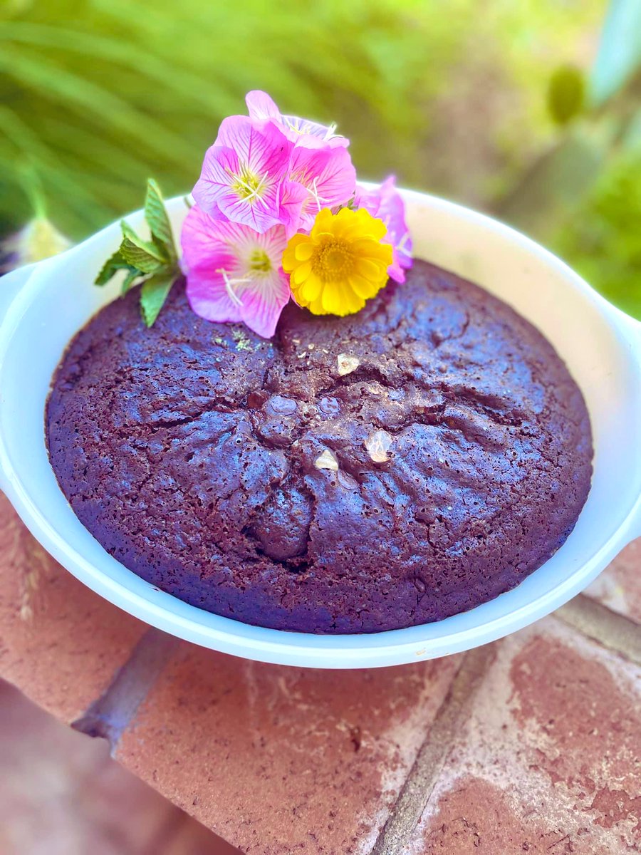 I just shared my favorite superfood brownies!✨

#plantbased #superfoods #nutrition #holisticnutrition #chocolate #brownies 

👉🏻 facebook.com/share/p/XtFVhj…