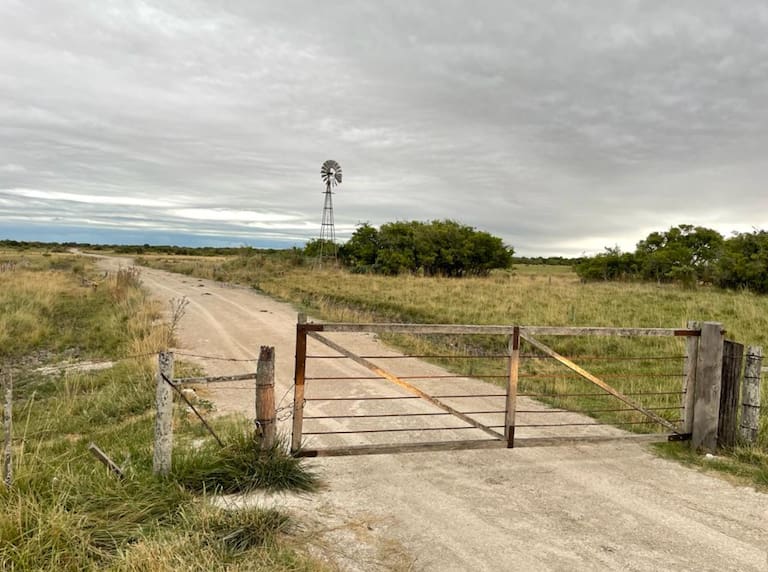 “Completamente activo”: destacan el buen momento del mercado de campos en San Luis dlvr.it/T7FQWx