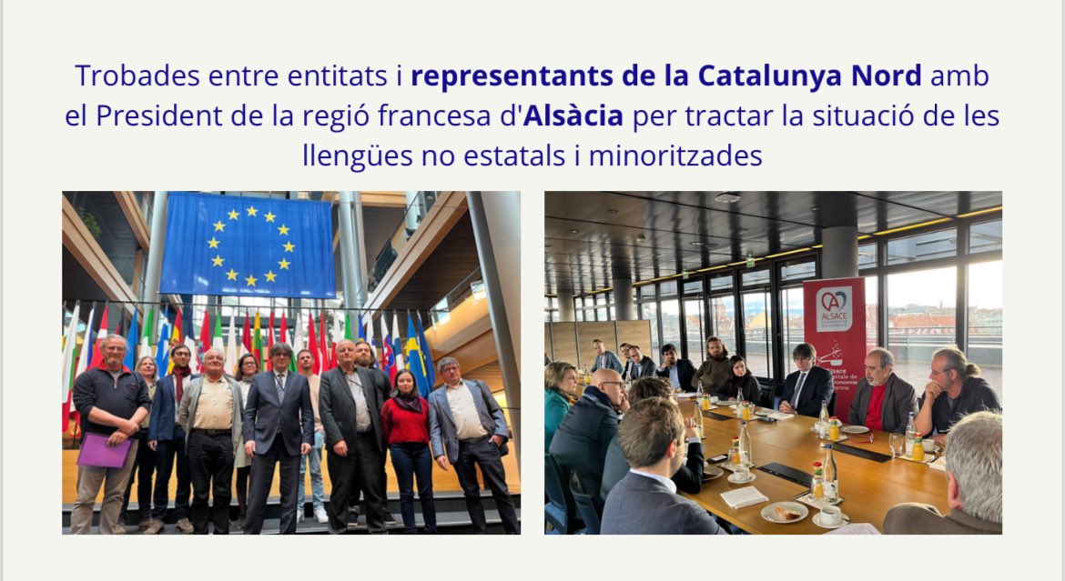 Junts i Lliures per Europa tweet media