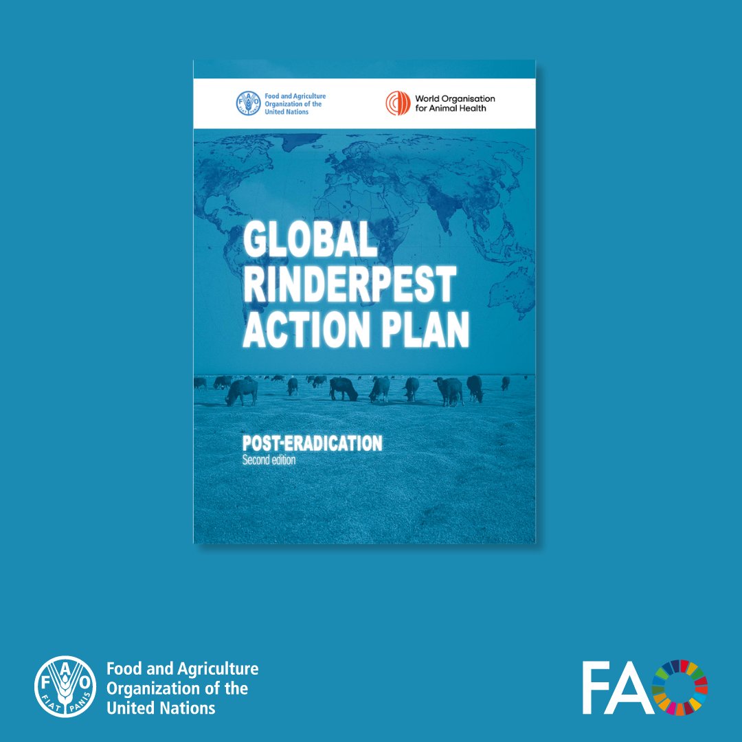 Protecting livestock worldwide! 🌍 The Global Rinderpest Action Plan is set to prevent the re-emergence of the only globally eradicated animal disease, safeguarding food security and economies. Read the plan ➡️ doi.org/10.4060/cc9269…