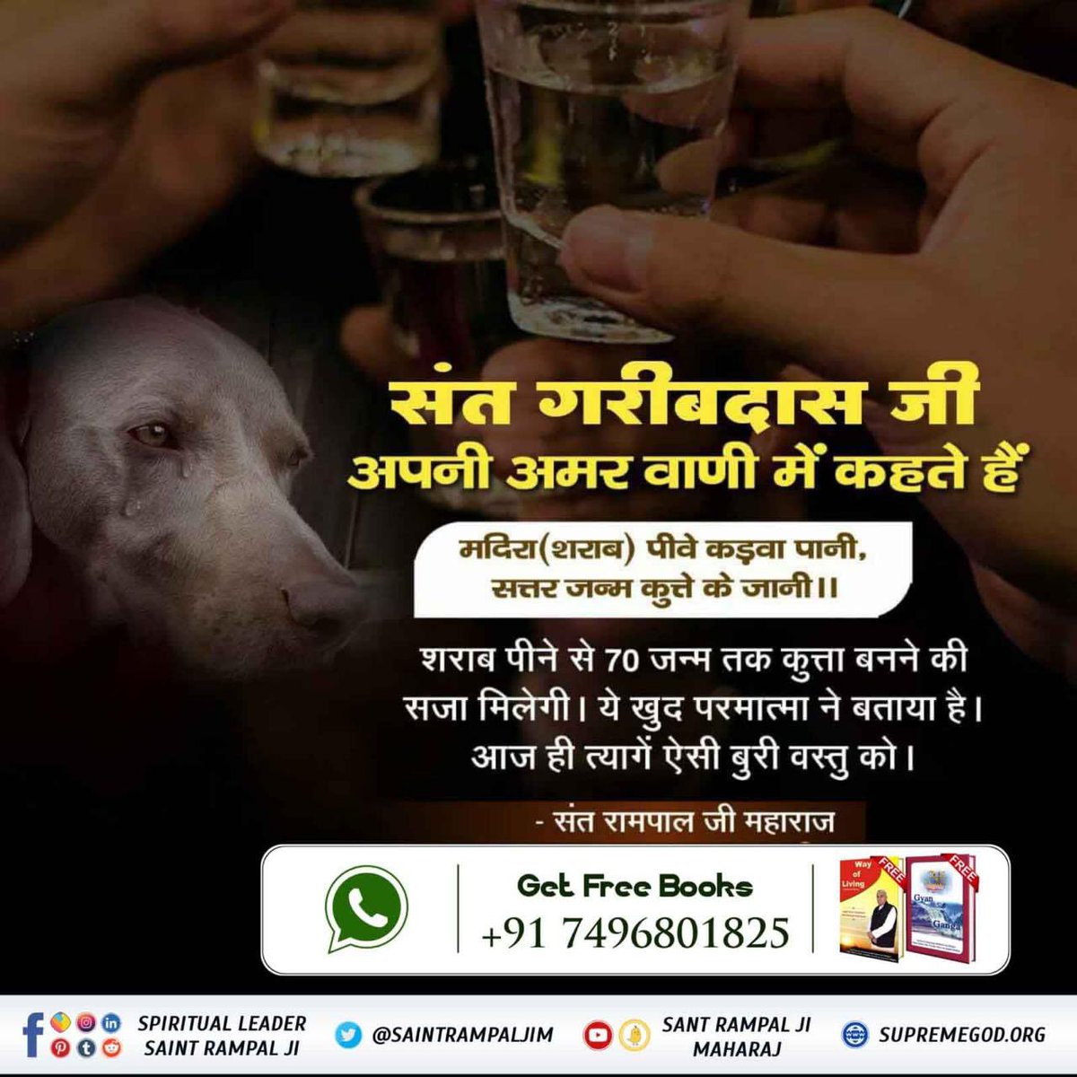 #नशा_एकअभिशापहै_कैसे_मुक्तिहो संत गरीबदास जी ने अपनी वाणी में बताया है– शराब पीने से 70 जन्म तक कुत्ता बनने की सजा मिलेगी। ये खुद परमात्मा ने बताया है। आज ही त्यागे ऐसी बुरी वस्तु को। Sant Rampal Ji Maharaj