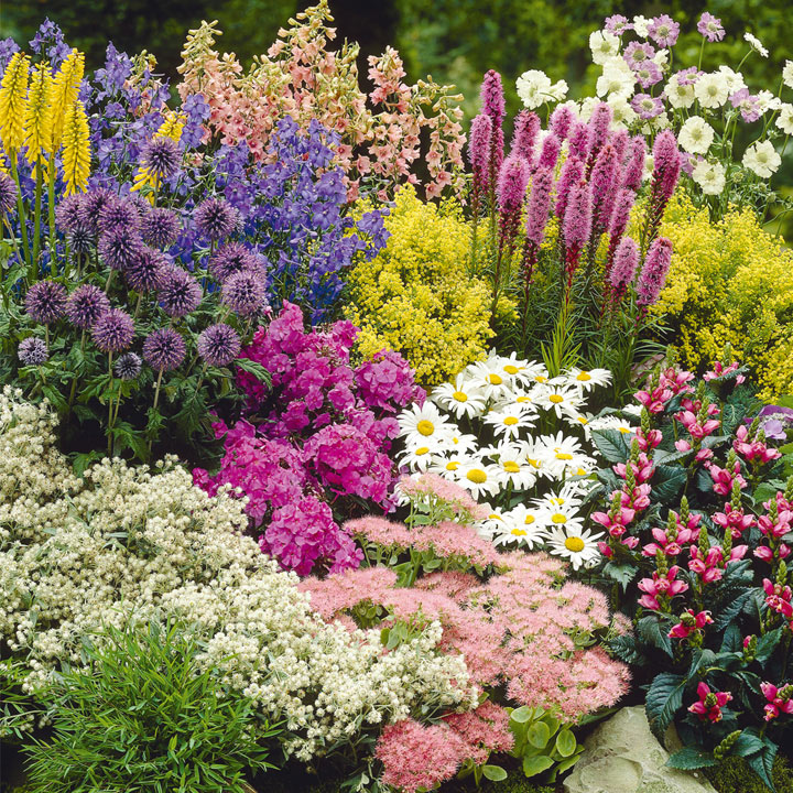 Want to get your garden summer-ready? Visit our Shrewsbury Superstore in Castlefields this Saturday between 9am and 2pm for a gardening and plant sale. And for more inspiration, come to our Open Gardens event at Bicton on Sunday. Gates open at 10am. Entry £3.50, U-16 free.📷📷