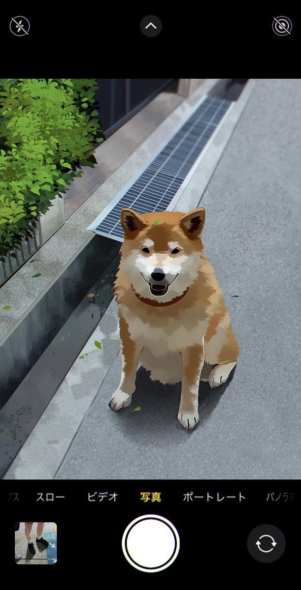 throttleetwt's tweet image. i once made atsumu camera roll and wanted to try omi but he is so boring!