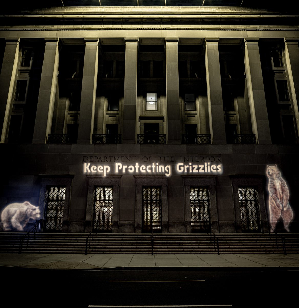 BREAKING: Grizzly Bear Activists Light up @Interior, Deliver 100,000 Petition Signatures asking @SecDebHaaland and @USFWS to maintain #EndangeredSpeciesAct protections for grizzly bears: endangered.org/breaking-grizz…