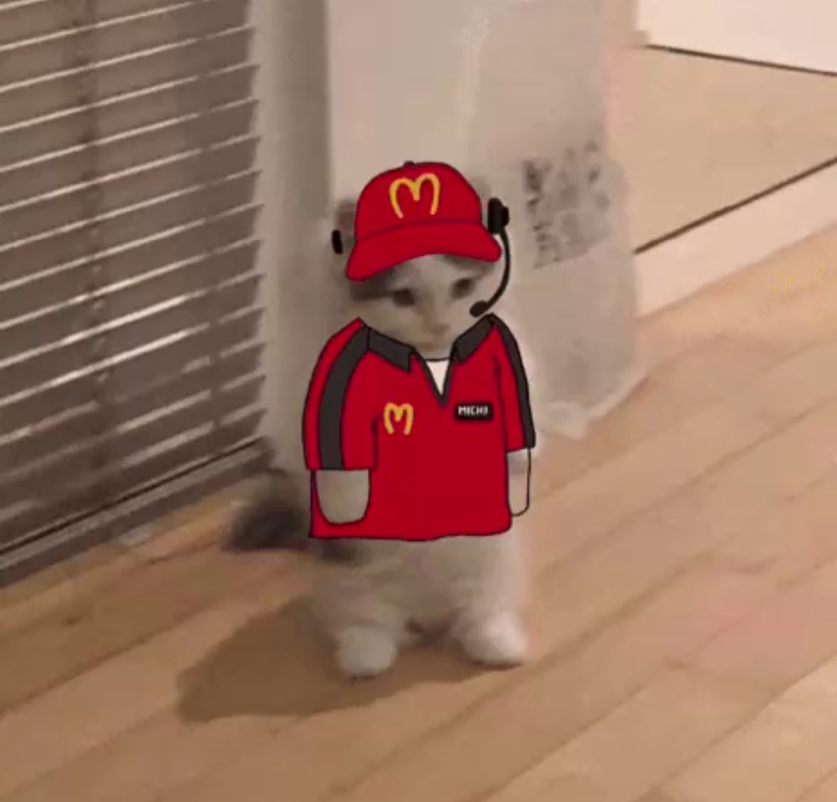 0xtoly's tweet image. gmichi

lets make some money today, lock tf in 😼