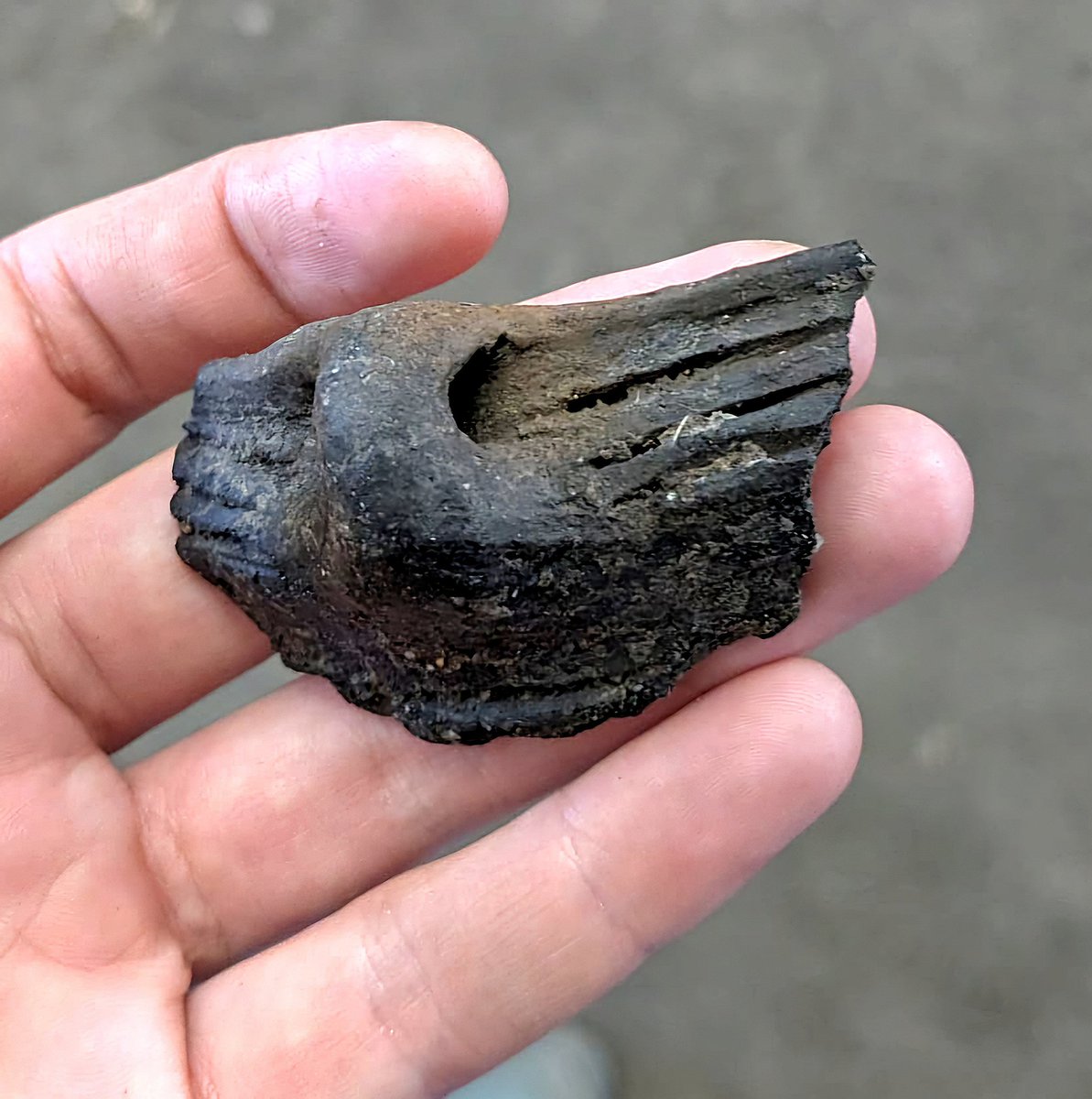 UofEArchaeology's tweet photo. A couple of nice finds from Mitchell fieldschool yesterday... https://t.co/sjQRcnq0EI
