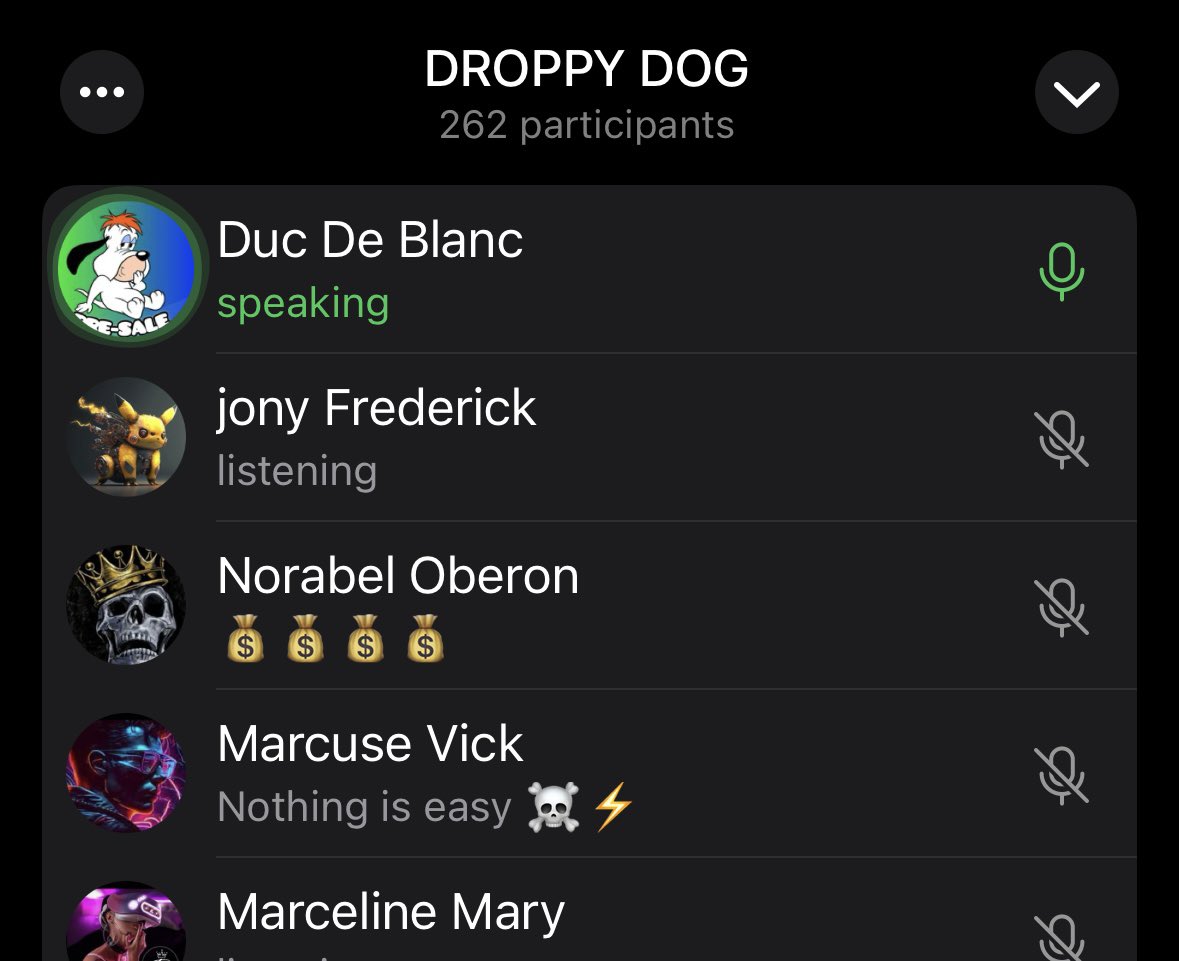 Thank you to all 263 people who were at the ama prepare SOL, start in 30 minutes🚀🐶$DDOG 
#memcoin #sol #pond <a href="/Pauly0x/">PAULY</a> #pauly0x #gem #ddog