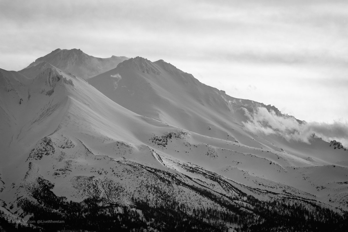 iLiveWhereIam's tweet photo. The Calm After the Storm
Late January snowstorm left the mountain blanketed in a deep layer of fresh power. #MountShasta

📷 @iLiveWhereIam - Lisa K. Kuhn

#mtshasta #siskiyou #siskiyoucounty #mountains #california #yourshotphotographer #lp https://t.co/Y7SJHdUBbx