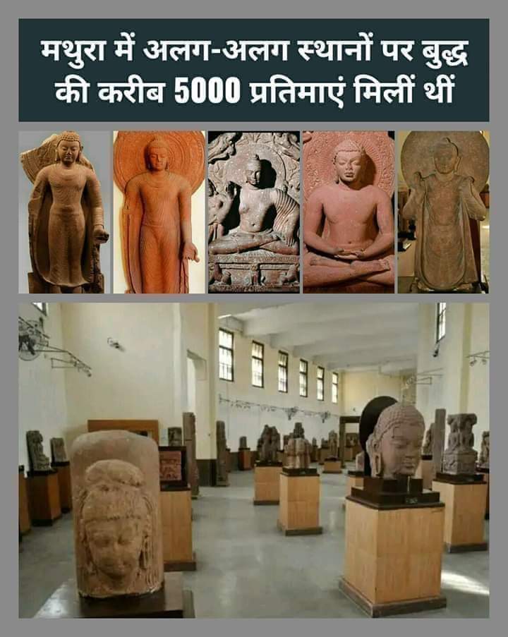 पाँच हजार प्रतिमाएँ तो पूरे भारत में भी किसी लोकनायक की नहीं मिली, अकेले बुद्ध की पाँच हजार प्रतिमाएँ सिर्फ ब्रजमंडल में मिलीं...पूरे भारत की तो बात ही मत कीजिए।