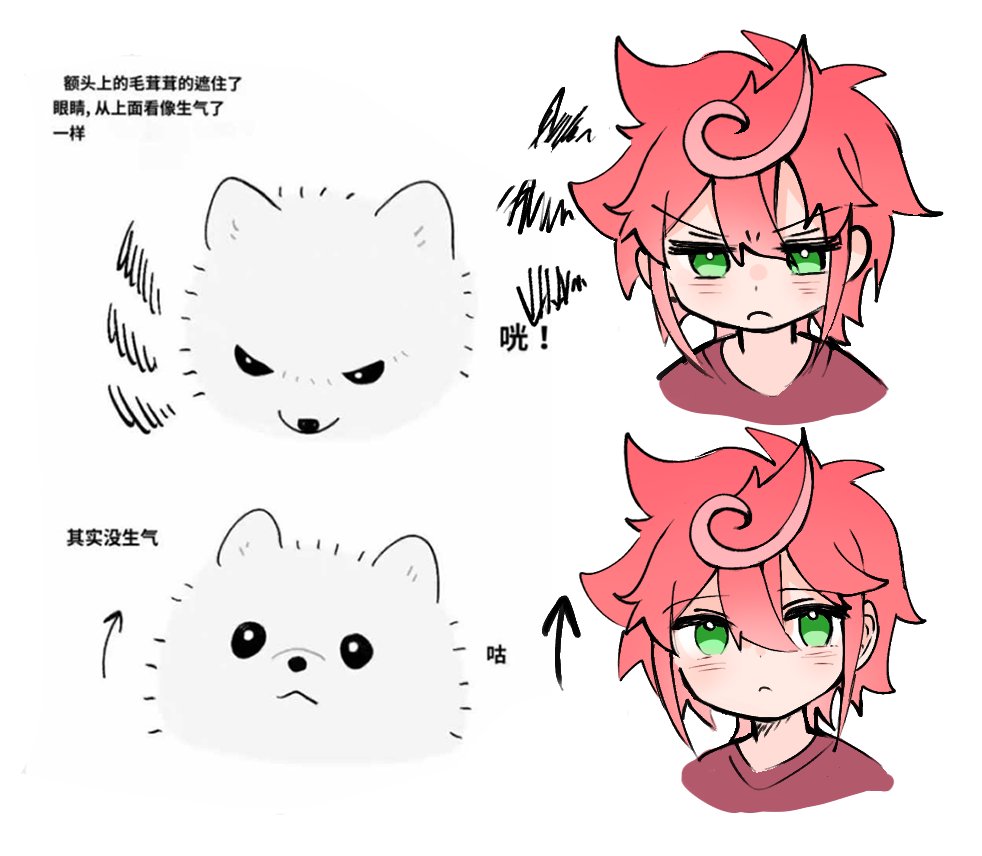 一開始的確看起來像兇兇的貓貓