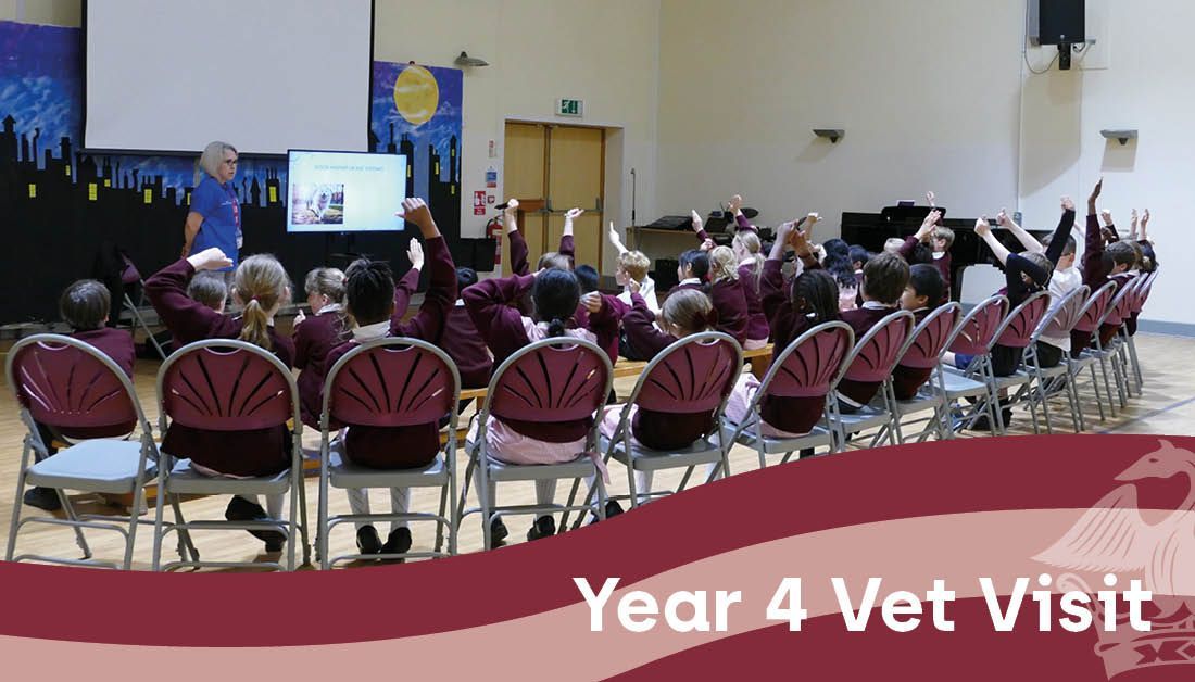 Today, Year 4 were very lucky to welcome vet, Sarah, to school. 

Sarah talked to the children all about how she became a vet, what her job is like and went through some very interesting facts about animals and their welfare. 

Thank you Sarah! 

#OldHallSchool #WeLoveAnimals