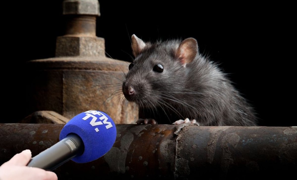 Nini_MacBright's tweet image. - Ah mais oui, on ira l’encourager, faut être dingue pour faire un truc pareil