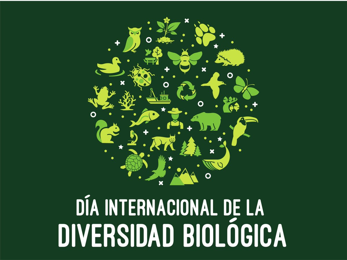 Día Internacional de la Diversidad Biológica. Una de las 3 crisis ambientales lo constituye la pérdida de la diversidad biológica, con la consiguiente amenaza a nuestra propia existencia, pues de ella dependemos. En este tema todos tenemos algo que hacer @OCitma @citmacuba.