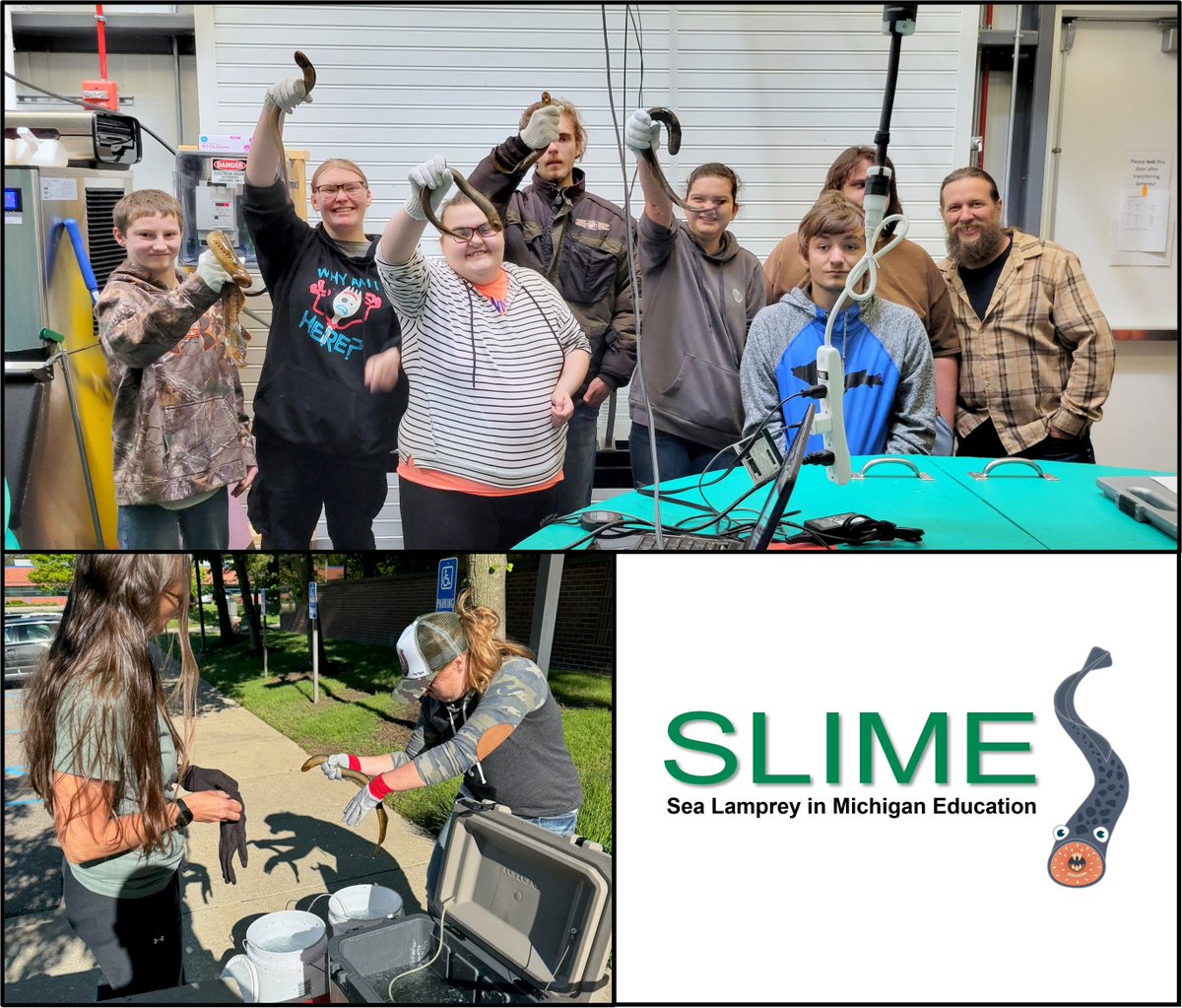 100 slimy fish slithered into the classrooms of 50 teachers &amp; 5,000 students the last 2 weeks as the Sea Lamprey in Michigan Education program launched! The SLIME program, part of the MI #SalmonInTheClassroom program, educates youth about #invasivespecies in the #GreatLakes.