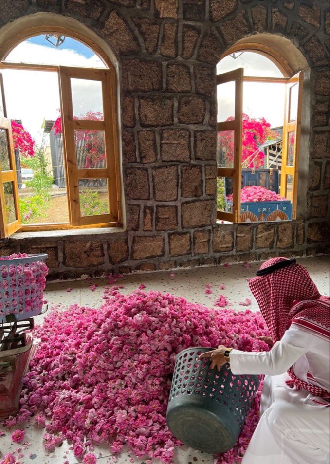 مرحبا ياللي على قلبي تسيّد
مرحبا يا فزة القلب وشعوره❤️