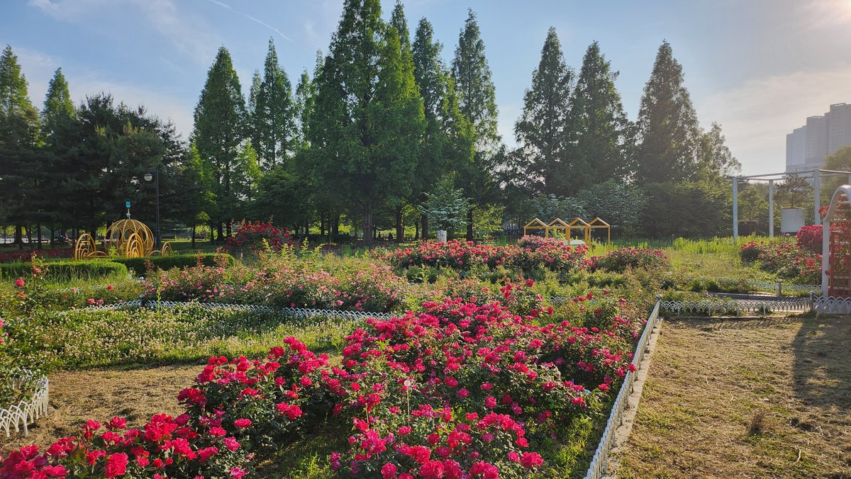 모솔히키백수게이 운전해서 여행다녀왔닌다