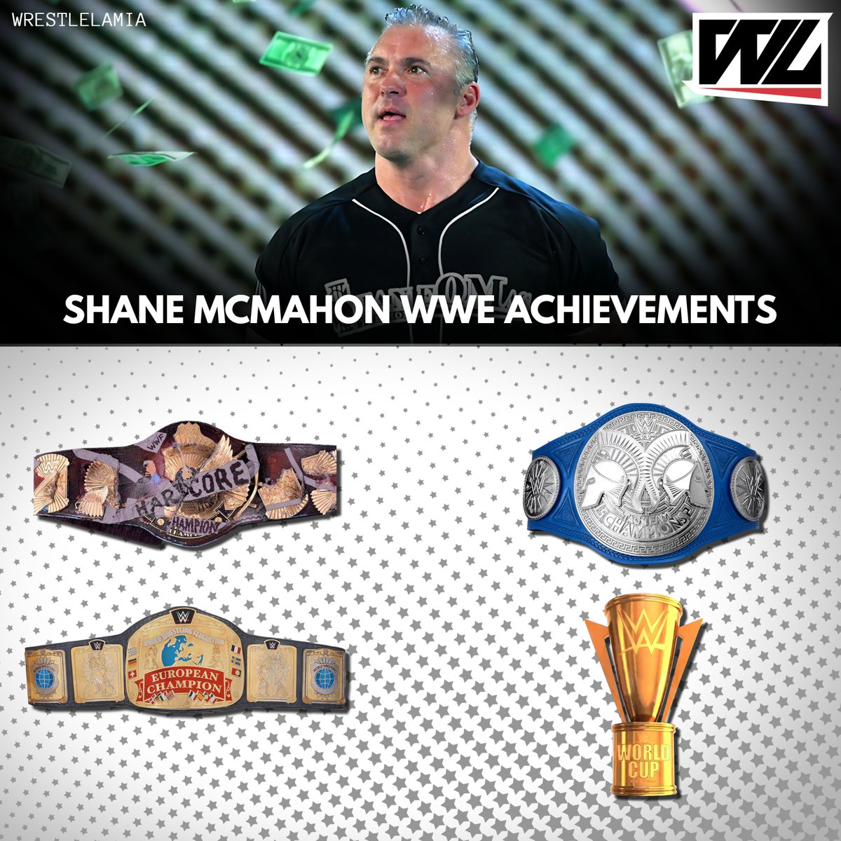 Shane McMahon's WWE Achievements 🔥