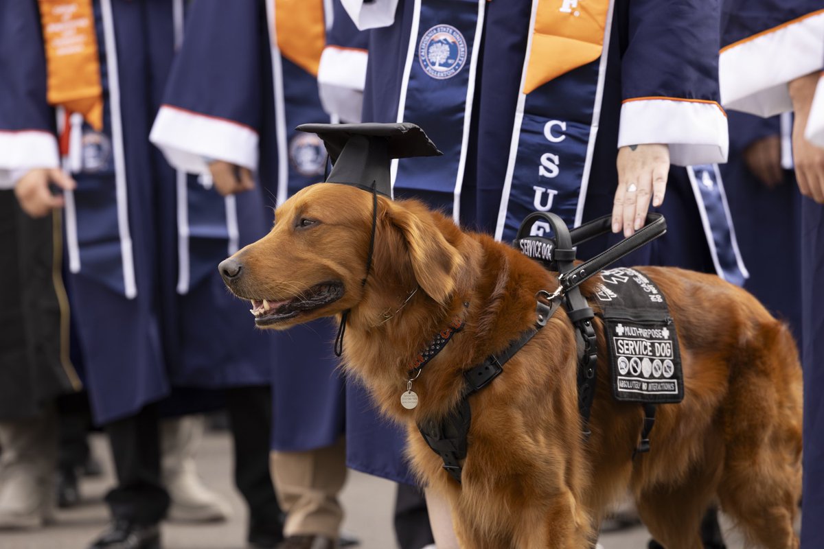 🎉🎓Day 2️⃣ of #CSUF Commencement Week! 🔸Shout out to those in your #TitanFamily who have stood by you in every step of your journey and into the future! 🫂💙 🔹Visit the Commencement Website at the 🔗 in our bio and continue to share your success online using #CSUFGrad2024 🎉🎓