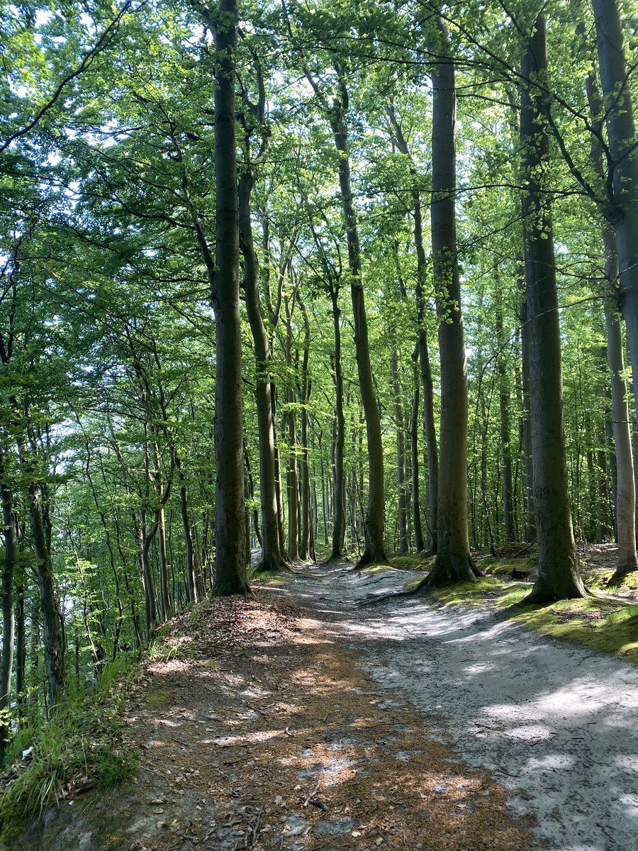 Was für eine schöne Wanderung:
Hochuferweg von #Binz nach #Sellin