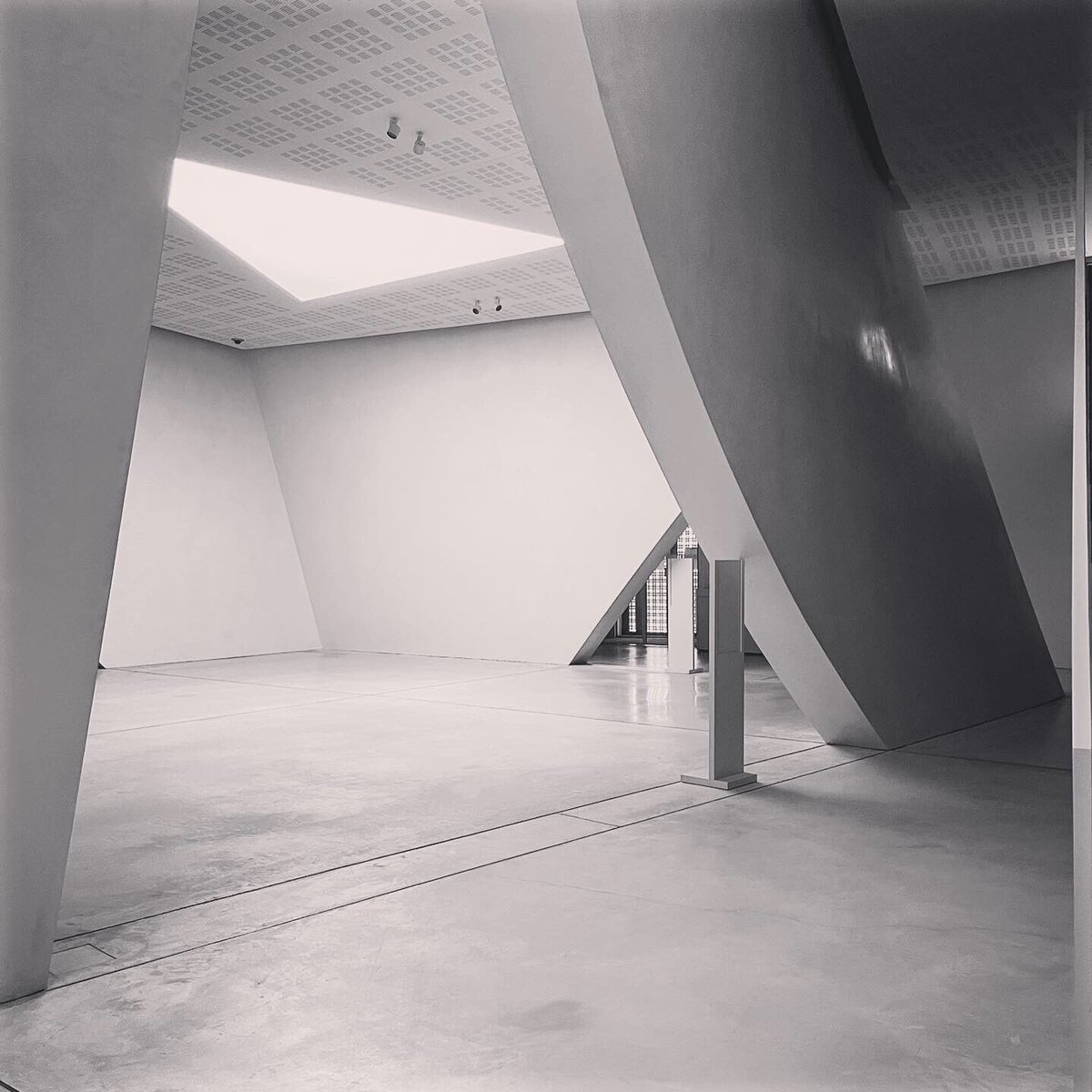 luigi turra tweet media