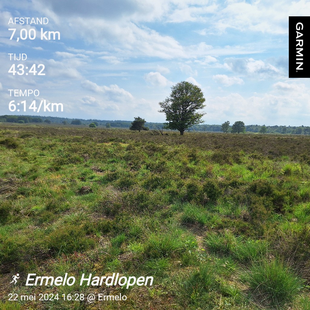 Gewerkt op locatie vandaag en dan de werkdag afsluiten met een rondje #hardlopen / trailen over de Ermelosche Heide 😍 @loopmaatjes @hardloopvriend