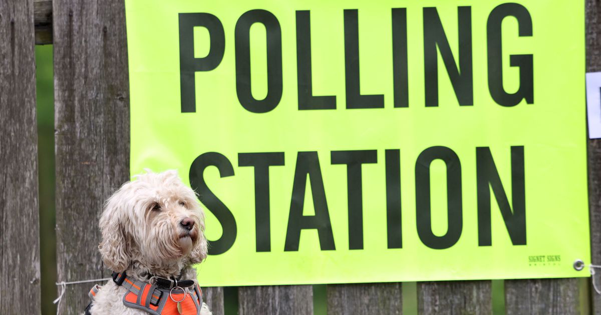 General Election voter ID rules explained - exactly what you need to bring mirror.co.uk/news/politics/…