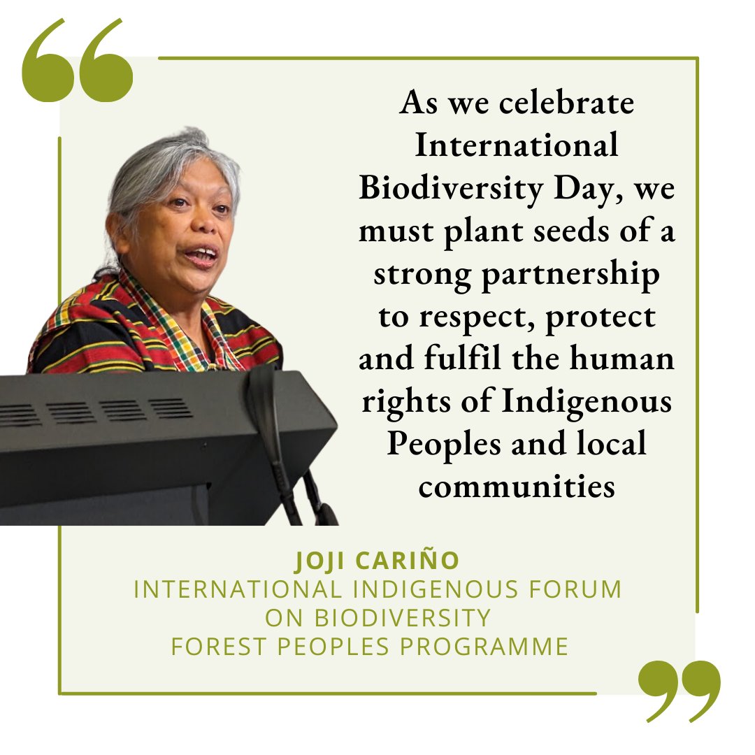 'As we celebrate #BiodiversityDay, we must plant seeds of a strong partnership to respect, protect and fulfil the #HumanRights of #IndigenousPeoples and #LocalCommunities.' Joji Cariño of @IIFB at the #SBI 4 in Nairobi #ForNature #ForPeopleAndNature #BiodiversityPlan