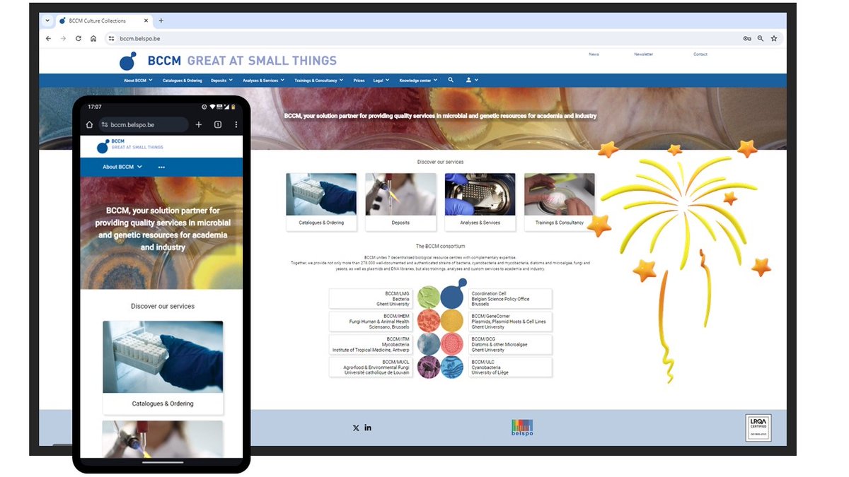 BCCM Collections tweet media