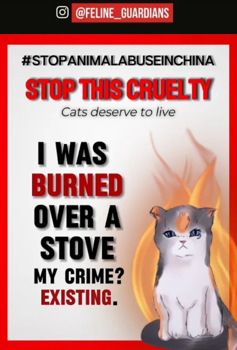 PROTECT our children from #MadeInChina cat torture videos that are being distributed in USA🇺🇸 & GLOBAL countries ‼️ 🆘️ @committeeonccp @ChineseembinUS @FBI @DCPoliceDept @INTERPOL_HQ🆘️ #InvestigateOnlineCatTorture⚠️#HelpFelineGuardians⚠️