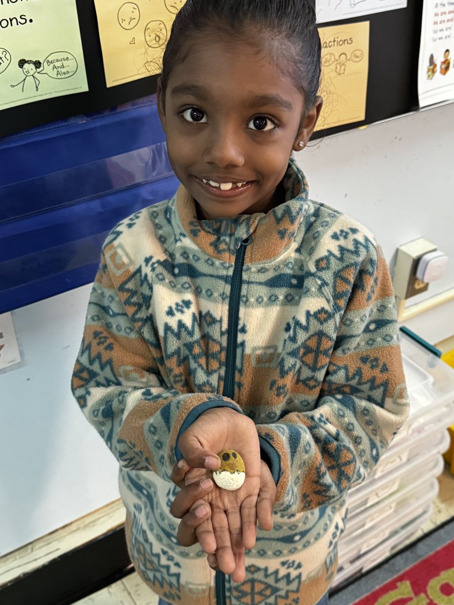 PatZMiller's tweet image. A child. A rock. Some paint. Add some creativity, and anything can happen. 

#rocks #classroommagic #kidlit