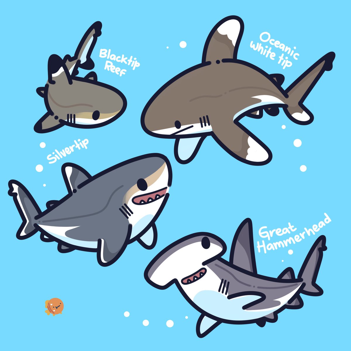 I love #sharks