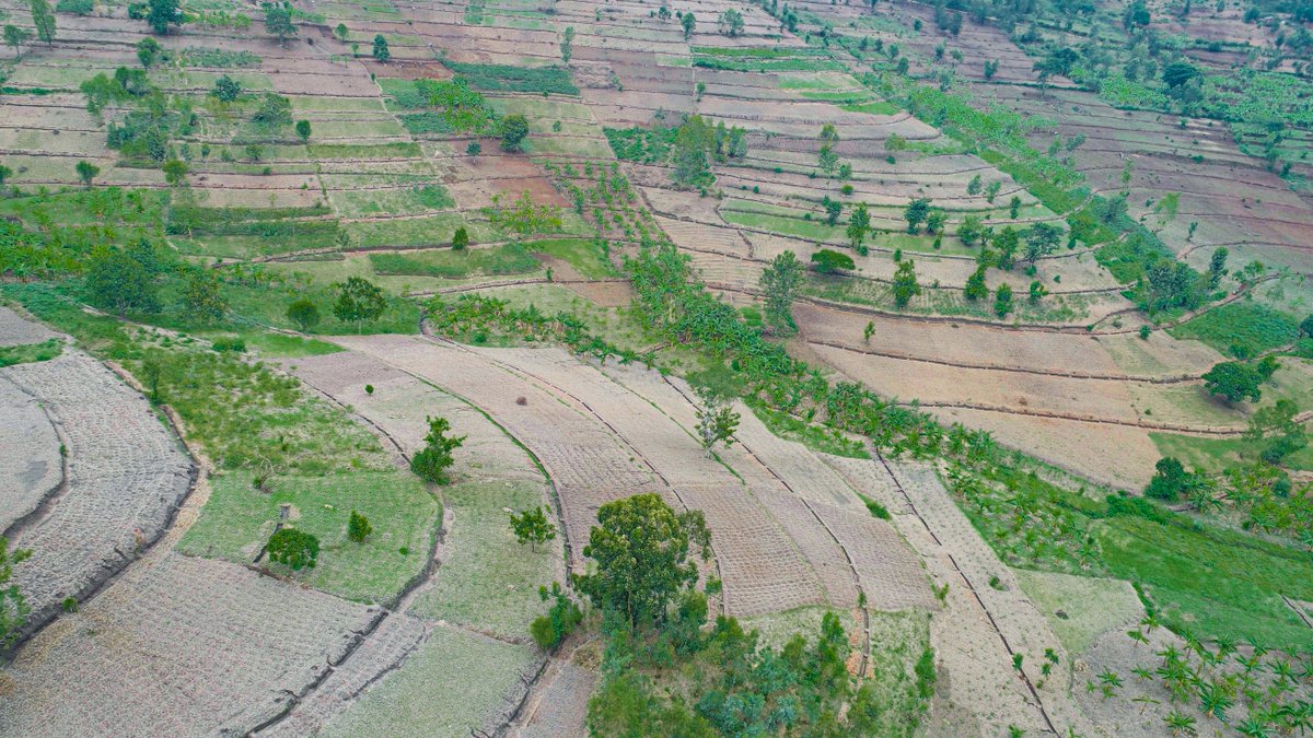 Rwanda’s #NationalEnvironmentWeek will kick off on May 25 with community work to create terraces at Nyabikono site, at the intersection of Nyamagabe, Ruhango & Karongi Districts Terraces help with ✅Erosion Control ✅Water Management ✅Sustainable Farming ✅Biodiversity Boost