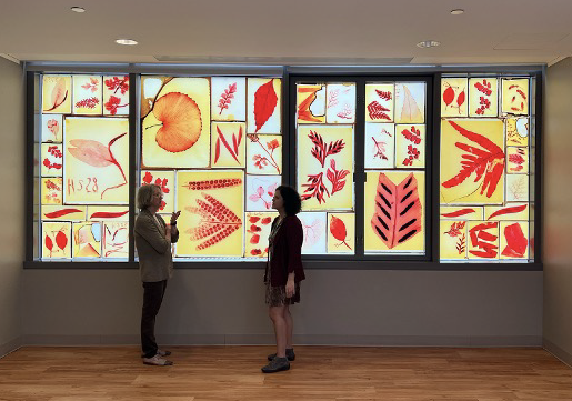 Botanical_'s tweet photo. 🌱🎨 From the new #PlantSciBull's #SciArt special issue 🎨🌱

Illuminations: Past, Present, &amp; Future of #Fern Research

By Dornith Doherty, @avascog, Tiana Rehman, Ana Niño &amp; Kimberlie Sasan

https://t.co/BbhmdNu6rO #botany #plantjoy https://t.co/hNjQf9GFlt