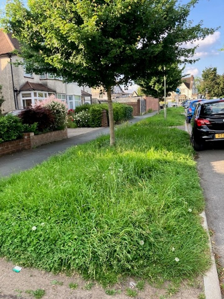 Sadly lessons don't seemed to have been learned in regard to grass cutting.  A missed deadline for verge cutting in Ewell Court has seen residents out doing the job for SCC.  Apparently the contractor was overly ambitious on the timescales for completion.