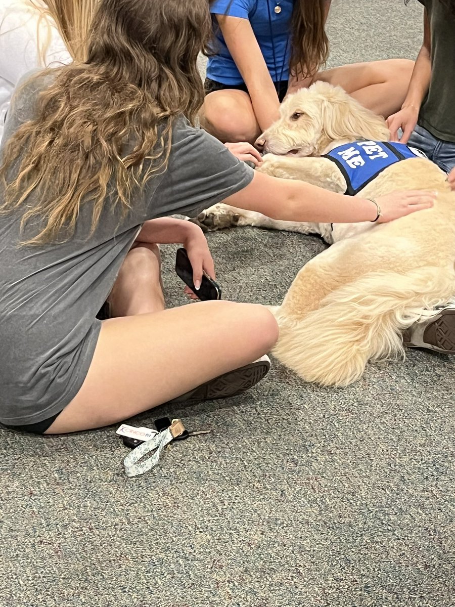 Therapy doggos in the library today! Thanks to our awesome CRHS Counselors for setting this up! So fun! #cpoe #katylibraries <a href="/kaye1332/">Dr. Kaye Williams</a>