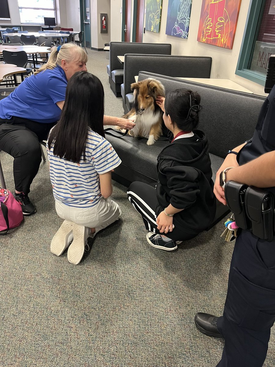 CRHS_Library tweet media