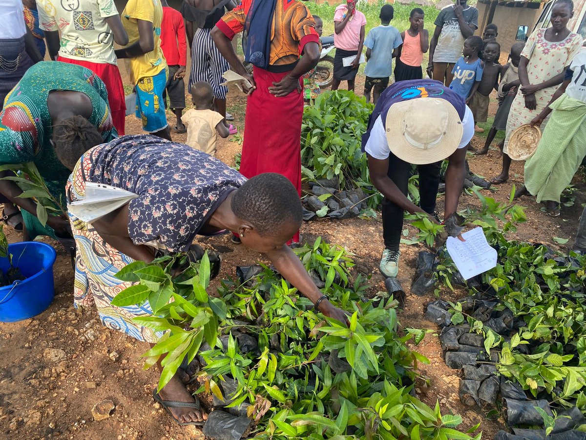 Together with the community re-greening the environment. Great turn up from community for the trees. RLO's power in leading services Thanks to @DCAUganda for the partnership and support @ReframeNetwork