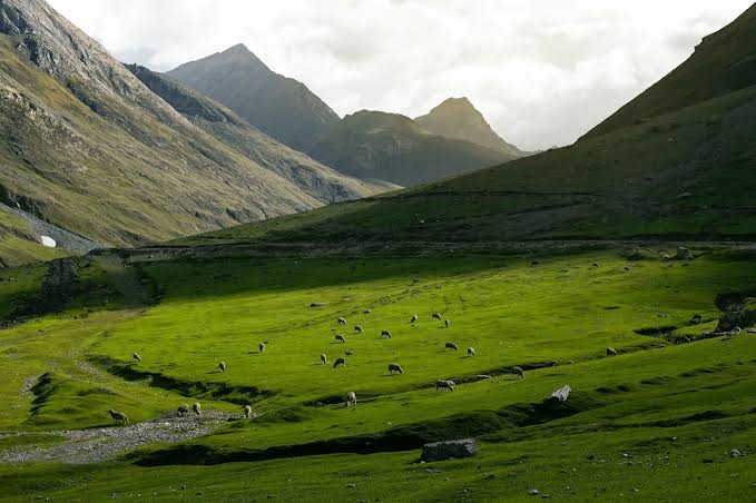 Waniv sa kus Jaiy Cha asel 

1. Dal Lake Sgr
2. Pahalgam 
3. Sonamarg 
4. Gulmarg