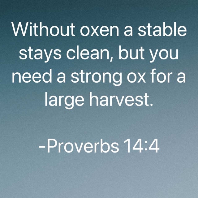 No MESS, no PROGRESS 😀