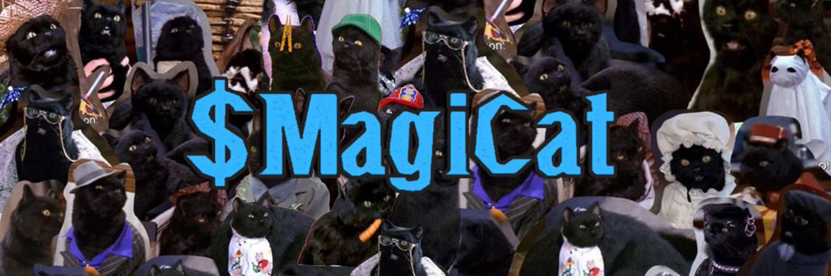 VIKI AI CTO tweet media