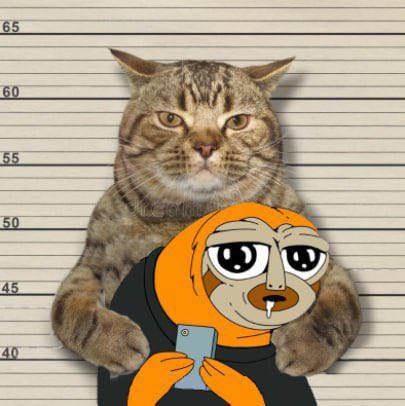 levelambassador's tweet image. #Freerondo #Freecuff #Slerf #Slerfcapital #Slerfverse