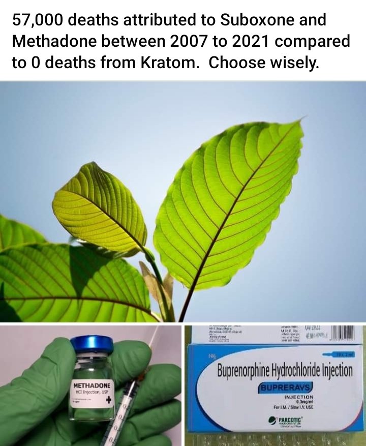 Truth in numbers. Just think about this for a second. Choose WISELY is right 🌿🌿 #plantsoverpills #KeepKratomLegal #iamkratom #KratomSavesLives #mychoice